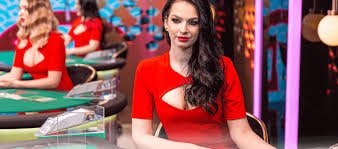 Responsible gaming reminder for 399bed adults using Rajshahi casino guide